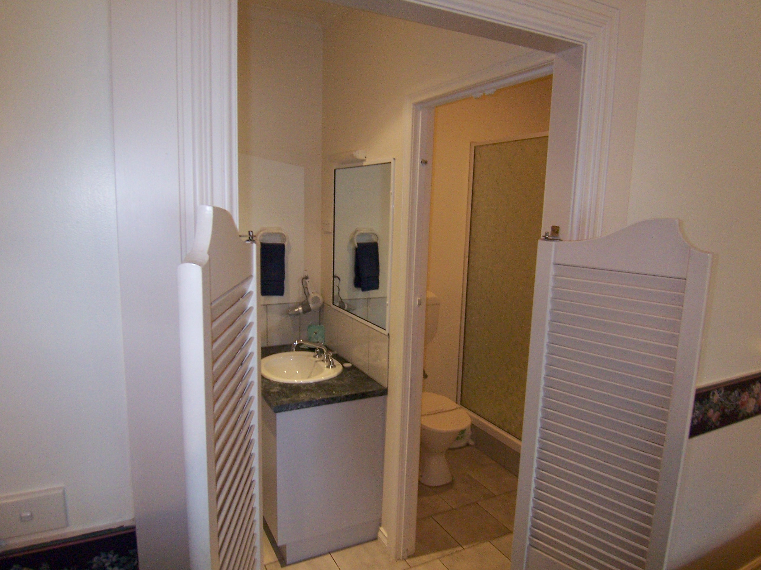 Ensuite bathroom with shower, separate handbasin area