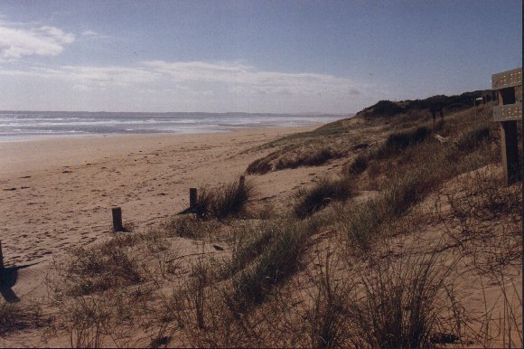 Sand Dunes on Venus Bay Beach No 1