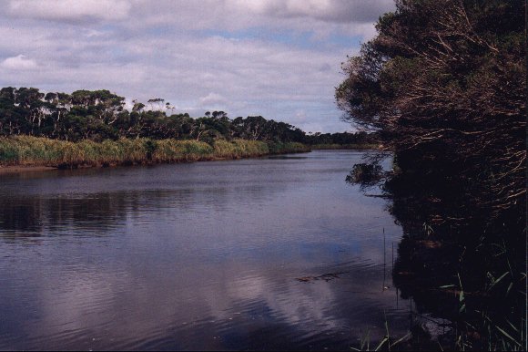 View of the Tarwin River opposite the Motel