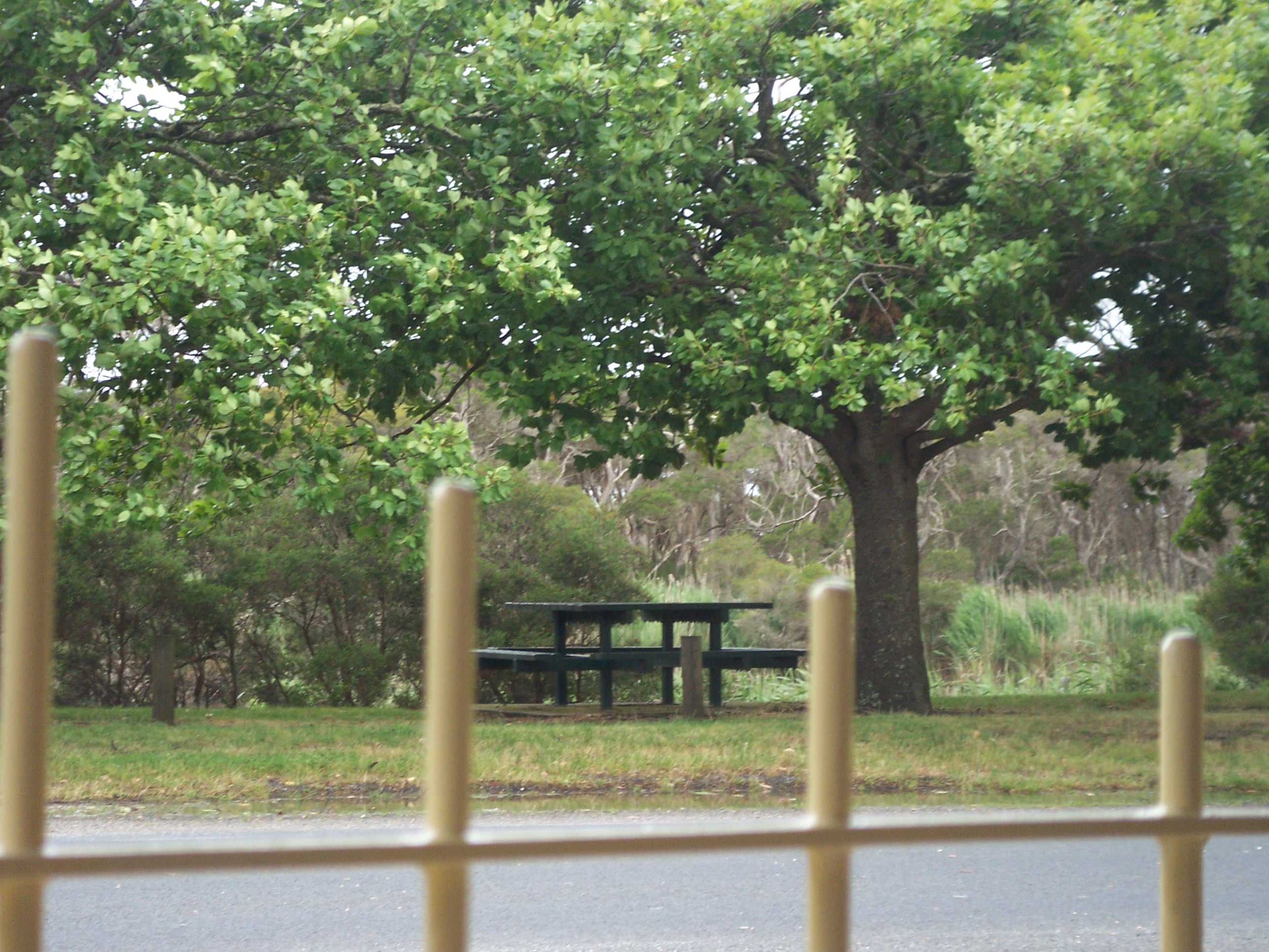 Picnic table opposite on the River bank